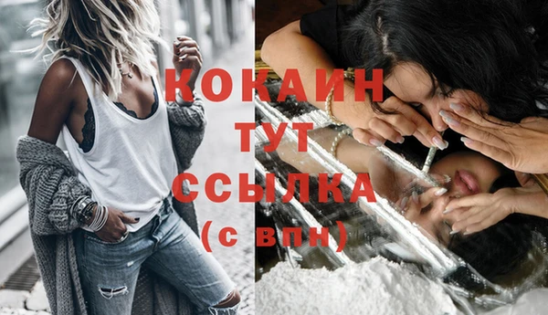 дживик Кулебаки
