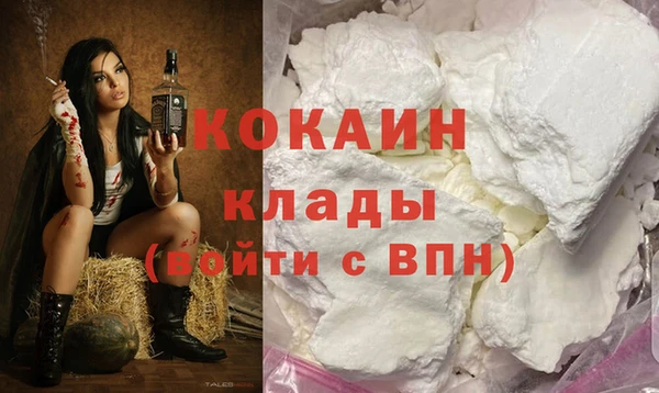 дживик Кулебаки