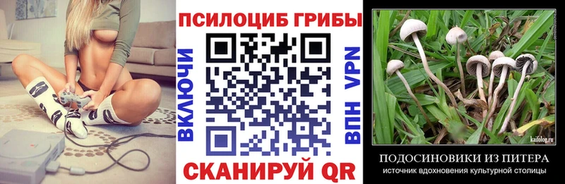 как найти закладки  Западная Двина  Галлюциногенные грибы MAGIC MUSHROOMS 